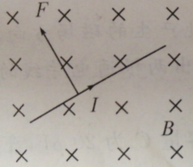 e103d0c81bafe5c68a798219ce576a19.png