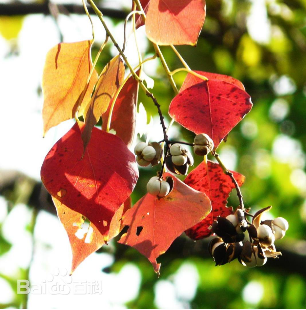 eab47e212b62a8bc677d04973c7ee56c