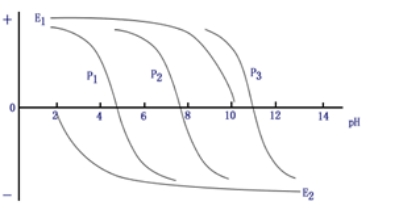 d2078305673fb8451cfe420d334e93f2.png