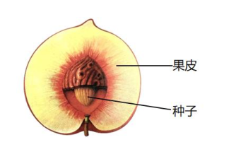 d5b018c6f4c0dc1344d1289644a11ac7.png