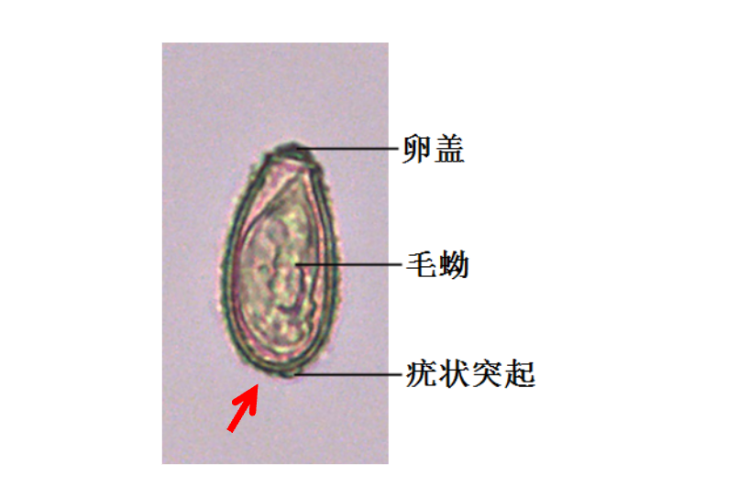 334490ec1f78ec179d3517bed379ffa8.png