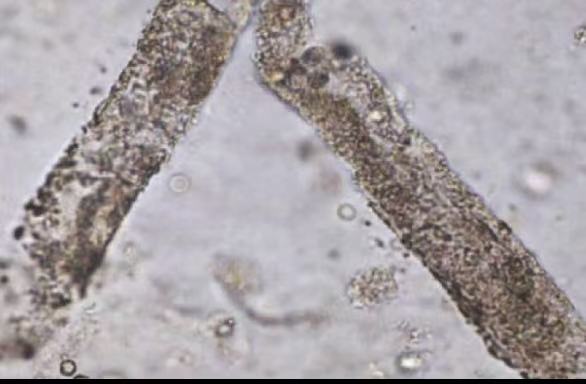 67ccb142fc147a3dab69bec51bce69aa.jpg