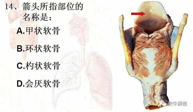 7136dc745c05a537f8df7ddf68ea9197.png