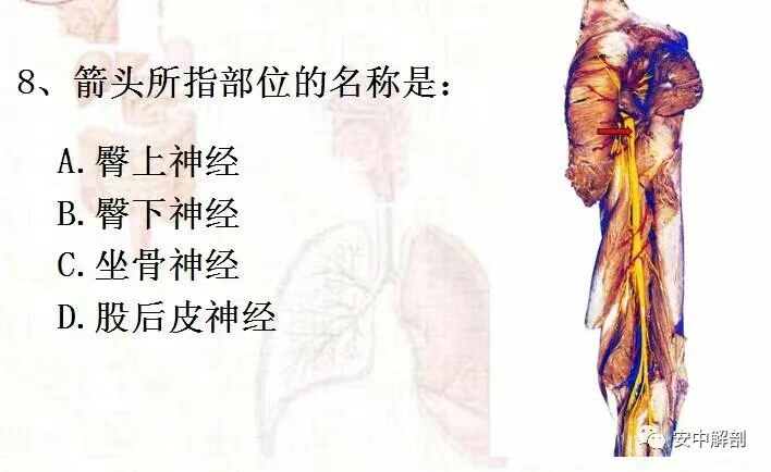 9c911a7d78bf912b65980e35878c86e5.png