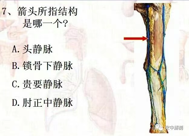 af0bf8d90c62b6bcd363694e74ff1c01.png