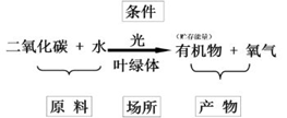 1669261118472.png