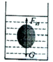1672408432278.png