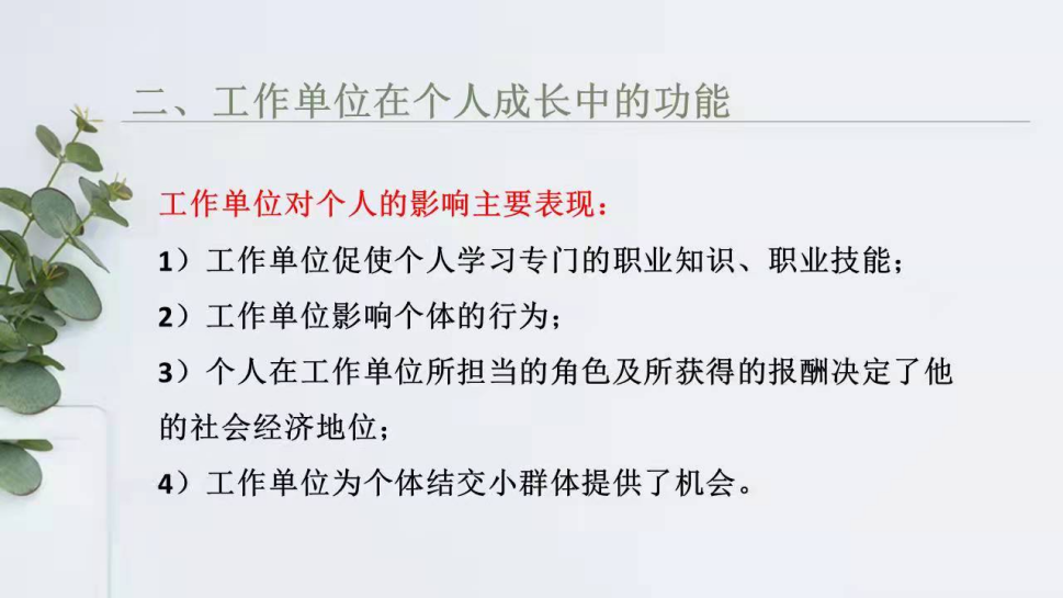 1676446976084.png
