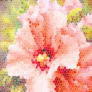 00cf0ce232971cfede69c2faa7a09eaf.png