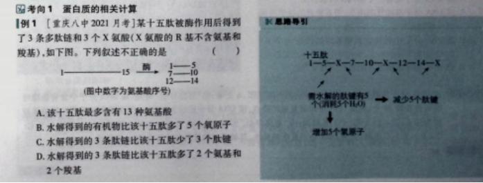 05f323996c181b63ea7535b0ff2a4c88.png