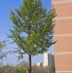 130a2161443fb5e048aface03f04552d.png