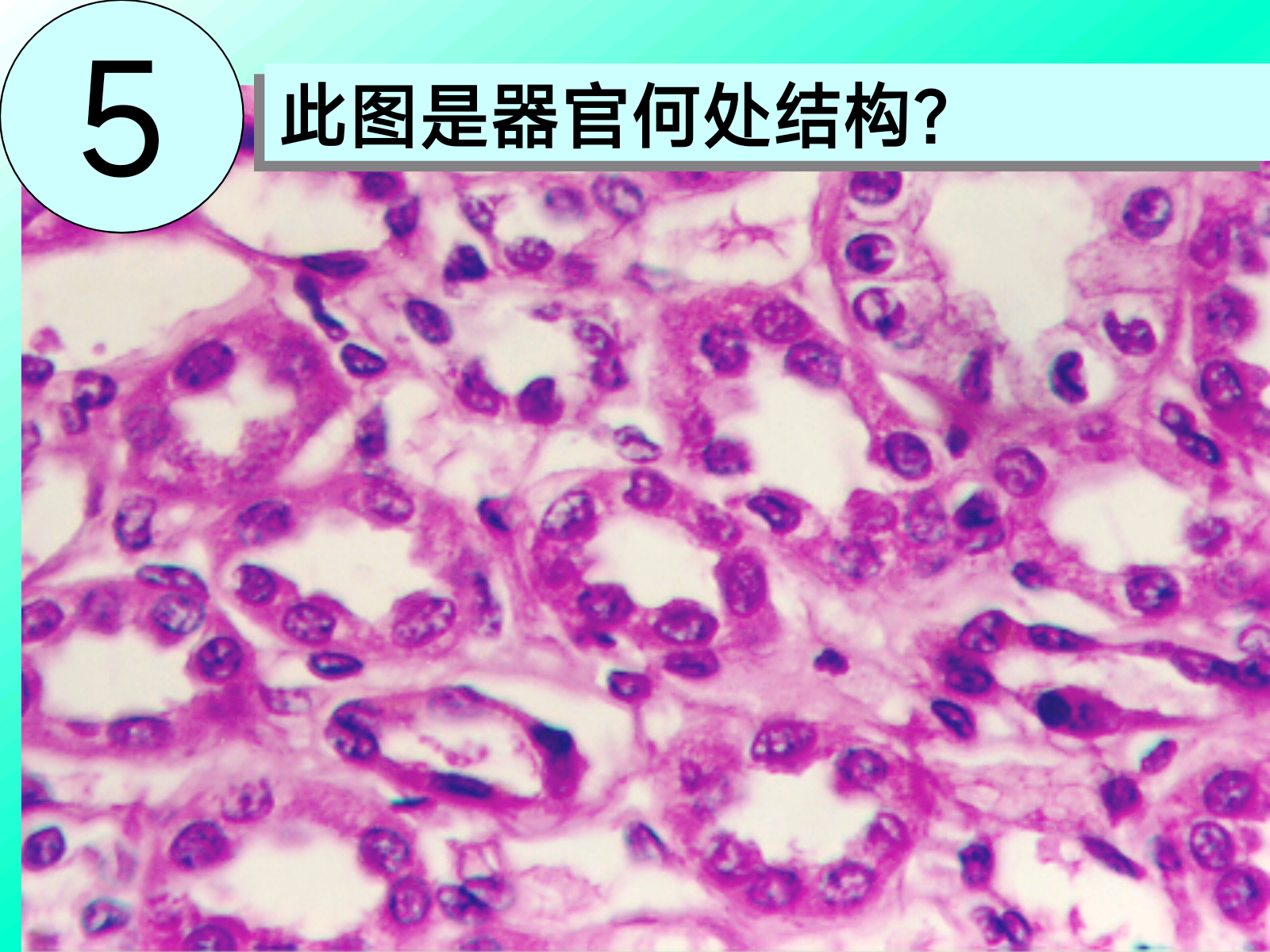 1ab6002ef67bd0fd3634dc63a4cf1c51.png