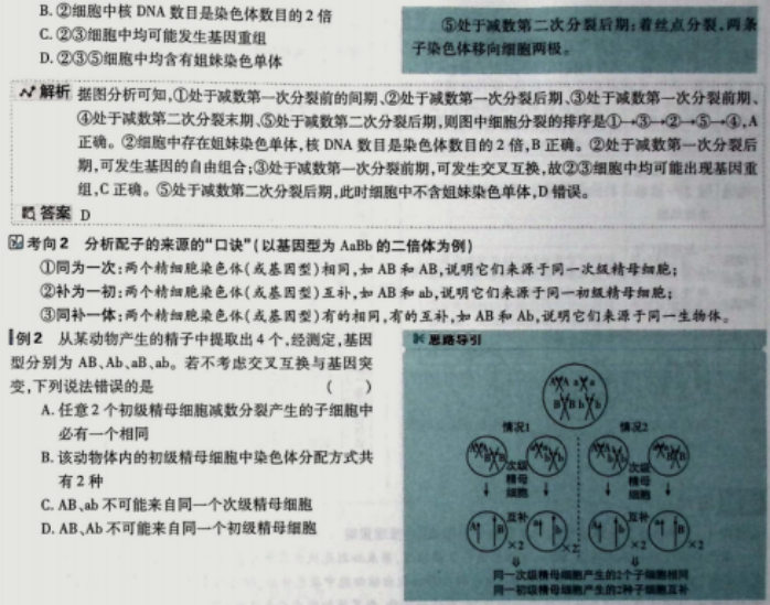 1dde366070d93b2caee446fba4d39f93.png