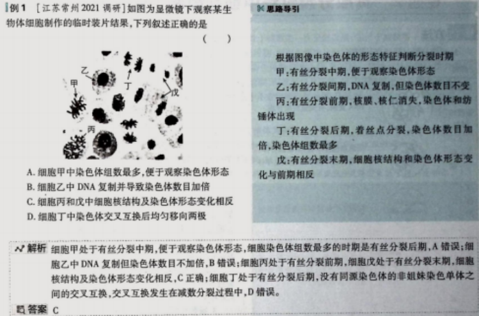 23cc16a1219b93dc9ccd5281c765f41d.png