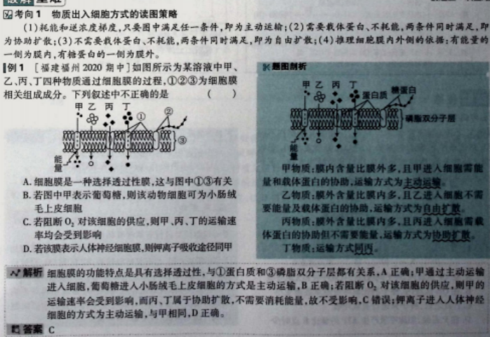 23cdd86f837df3bfc12add73fd993d35.png