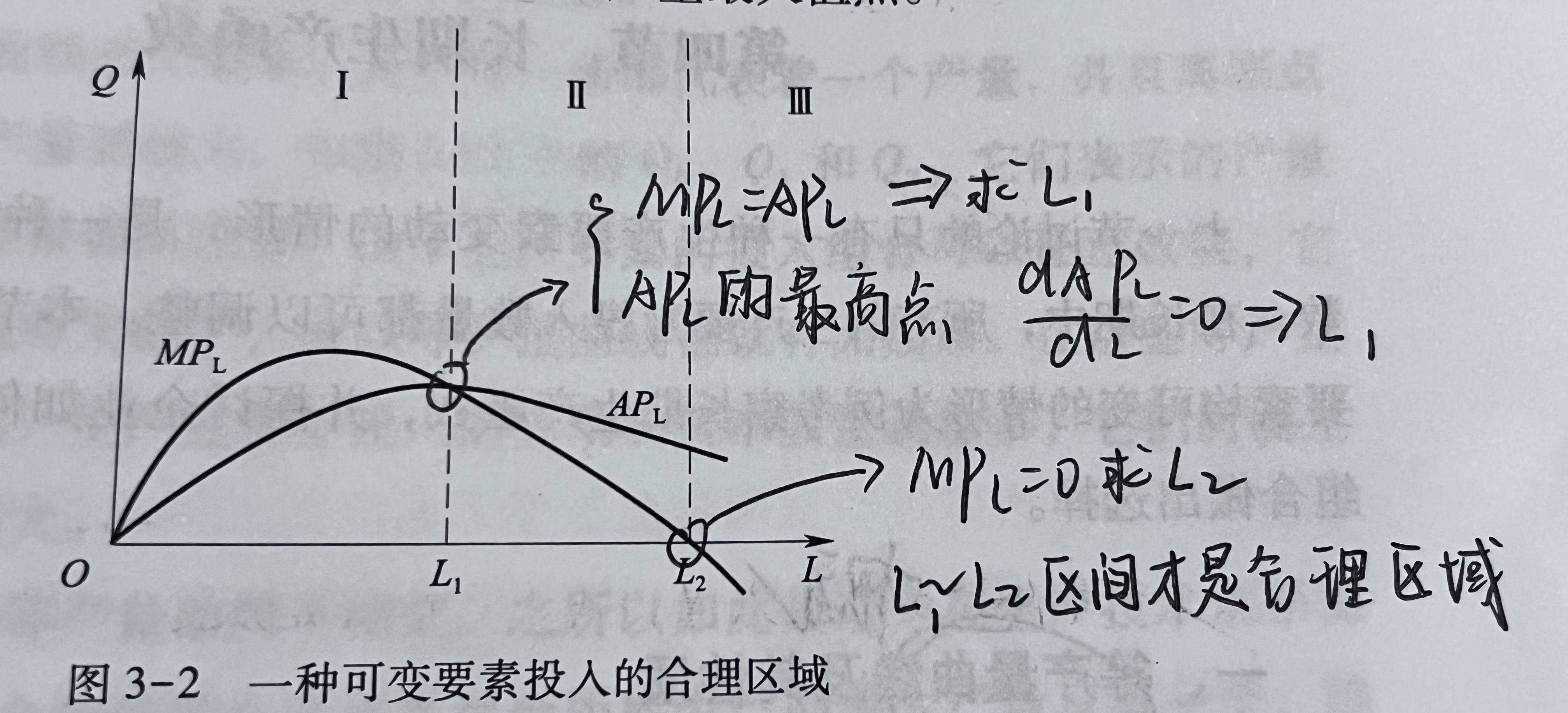 3a00b5527c5b5ae690a4b3121e1d70a7.jpeg