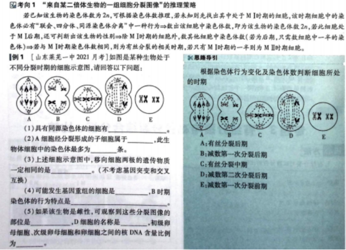 46205f1e0edfa9892a09f0c69b793ae9.png
