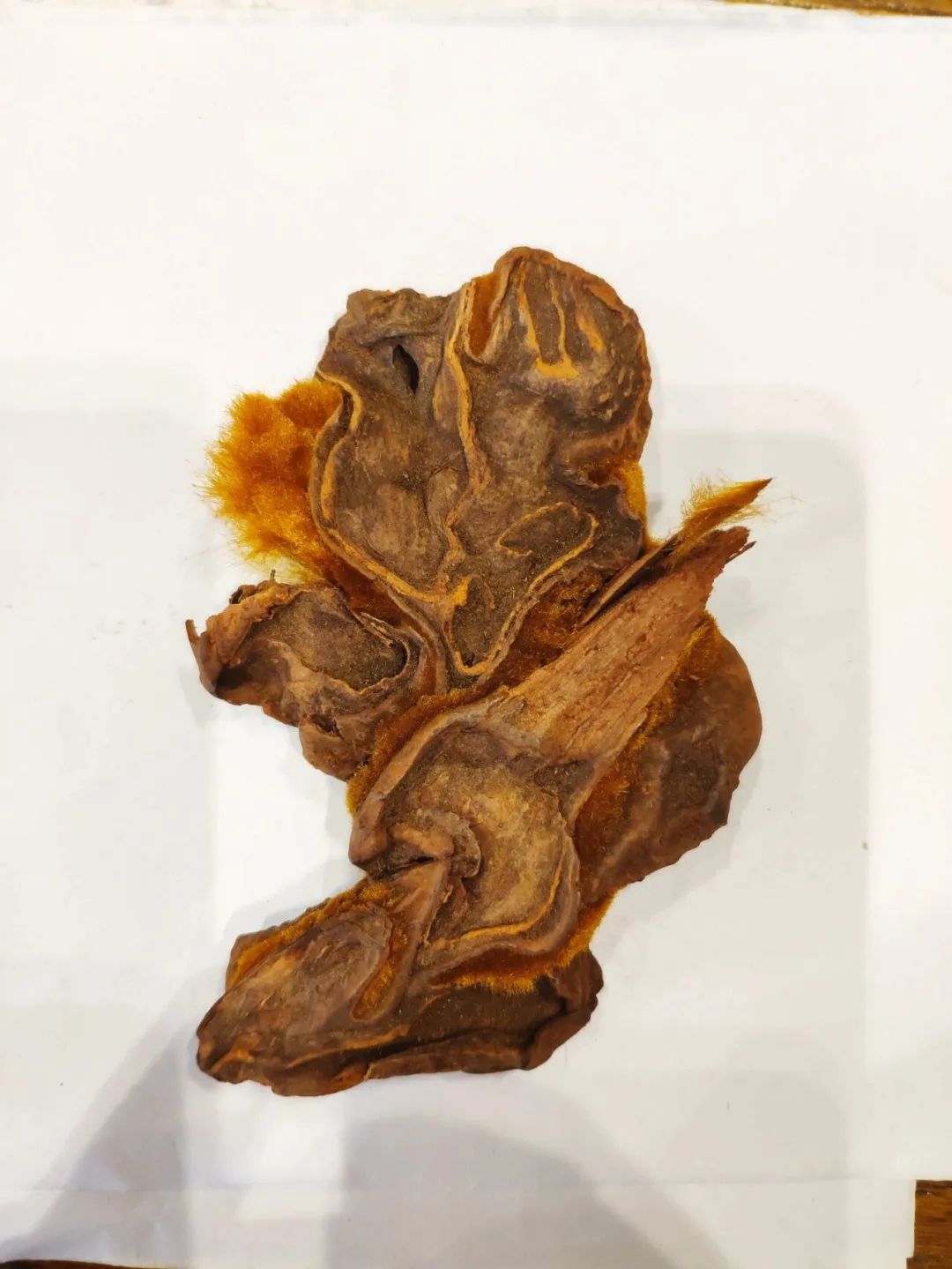 4645e4a919903964df746e896712b6c5.jpeg