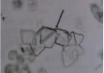 4fbcc07d2a77482da6638104d87cf415.png