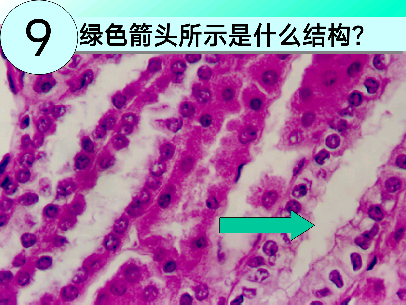 5333b9ad16e786ce3d823753c74bde50.png