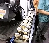 6a36890ddf04e2f90a341858cb4117bf.png
