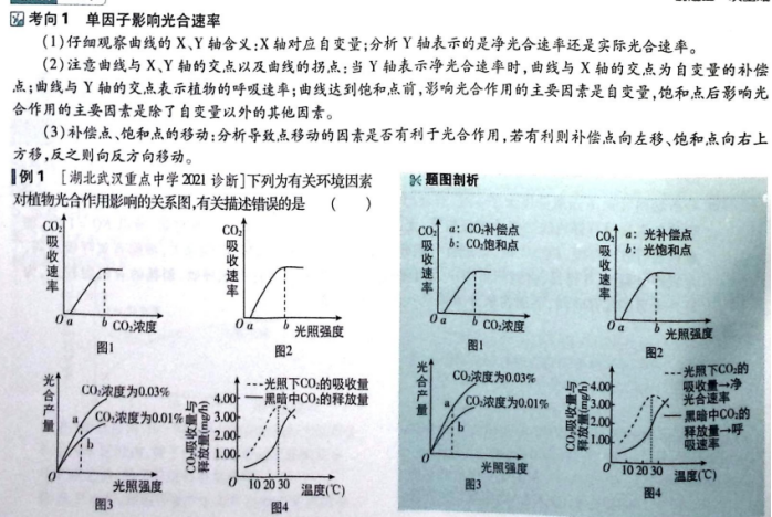 77e2829de4bde5db8623fb56fd483581.png