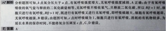 787753dbbbb90a1f67bdbfb2b6f56ba5.png