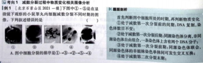 83fe9c297b02406cc2e625645e362801.png