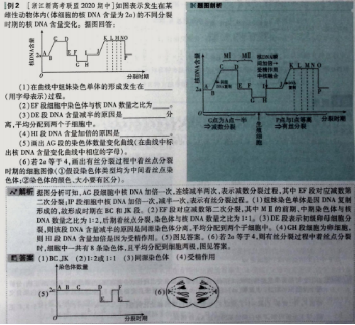 b75816e95d34227a337ece8a7472a730.png