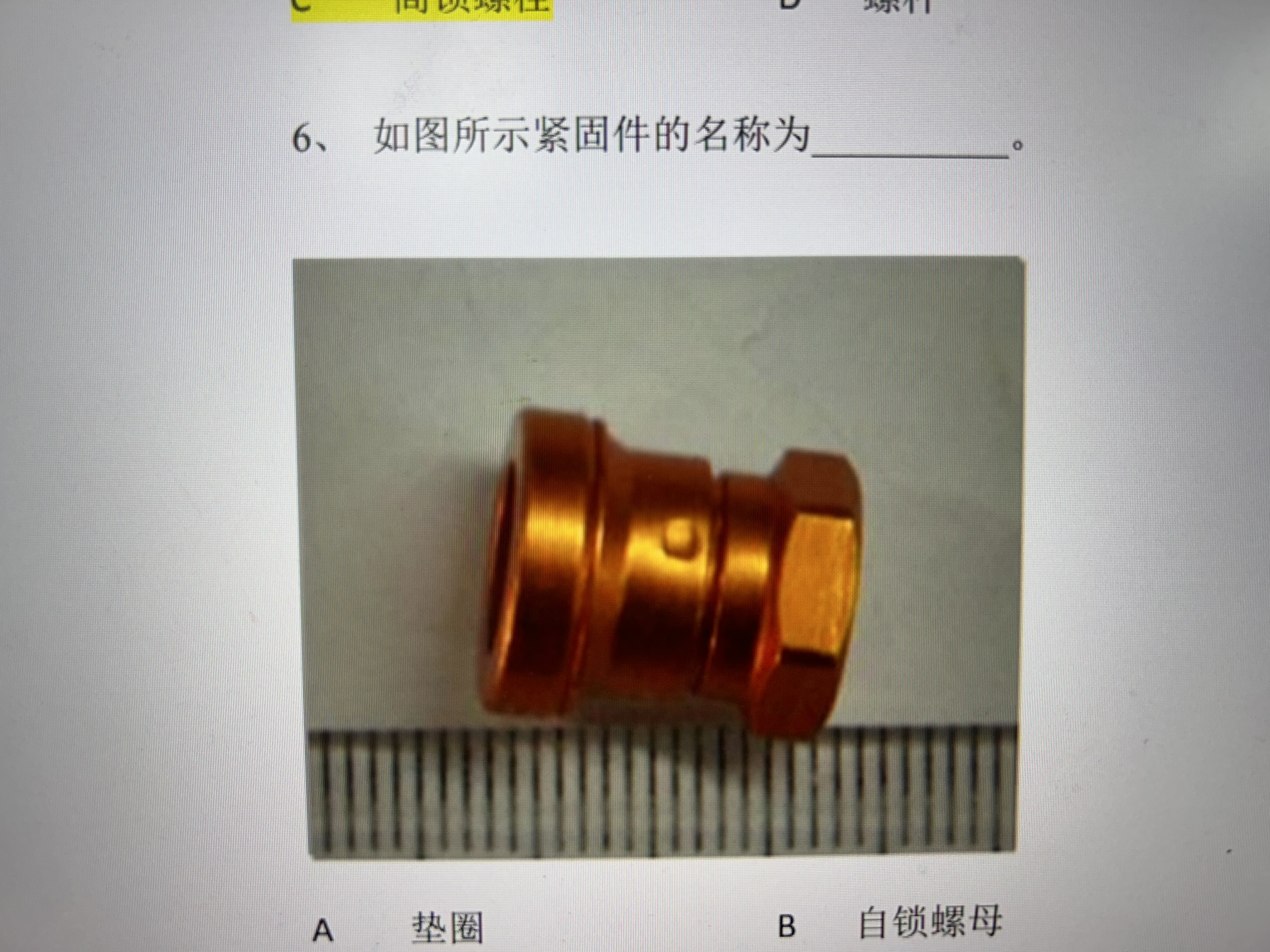 b95ad3930d6a64e820eba797a6d2202a.jpeg