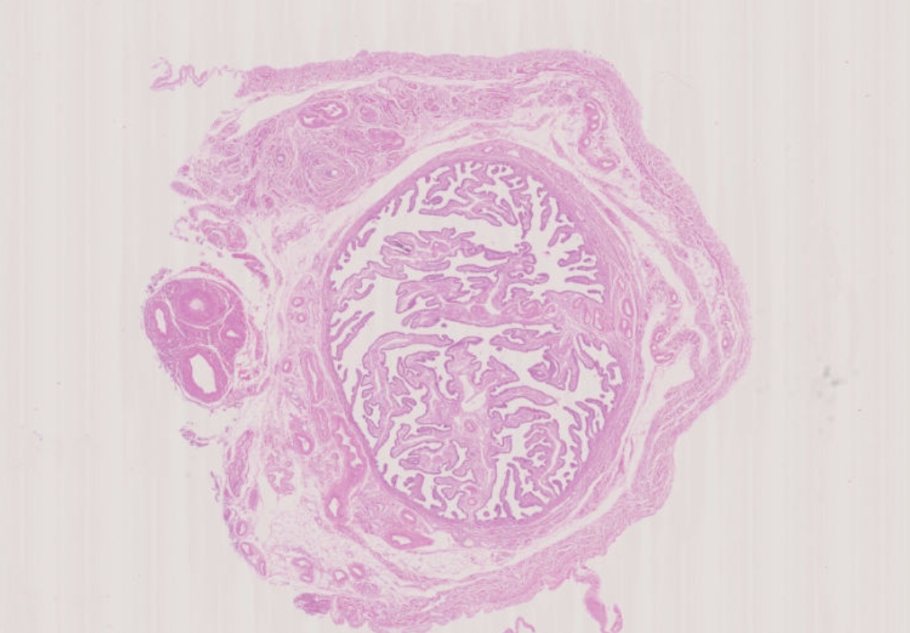 babc53e4de2a9a88febf1863b1f8aa50.jpg