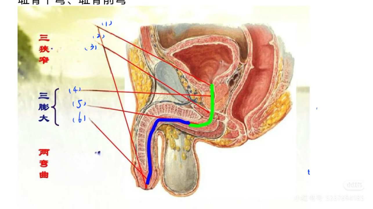 c7e0e01edfecb8660a9f46d7f66b7c65.png