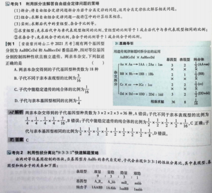 d188697ab12565896c525069e136d5bc.png