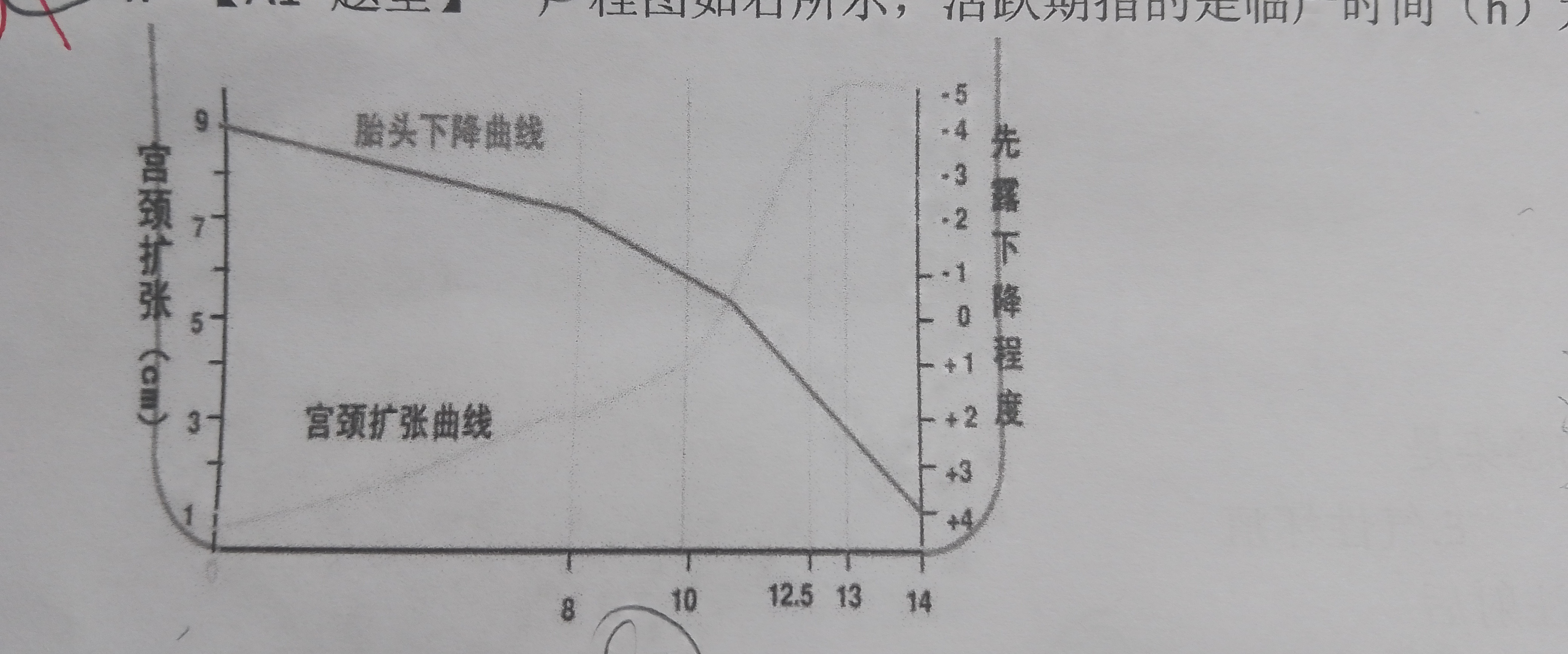 d362d929c0b5bc3b3ca031a9cdefca1f.jpg