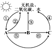 d38378f8b2309d4d1723b419878c6179.png