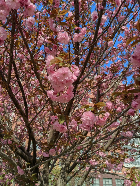 e90bc1157fd3f3b53074c67d9a9da24c.png