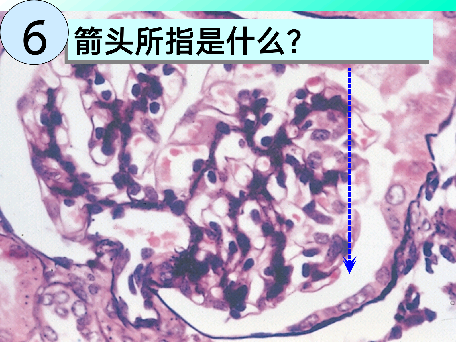 f2fc70b63e0420c9f2f008e8f47705c8.png