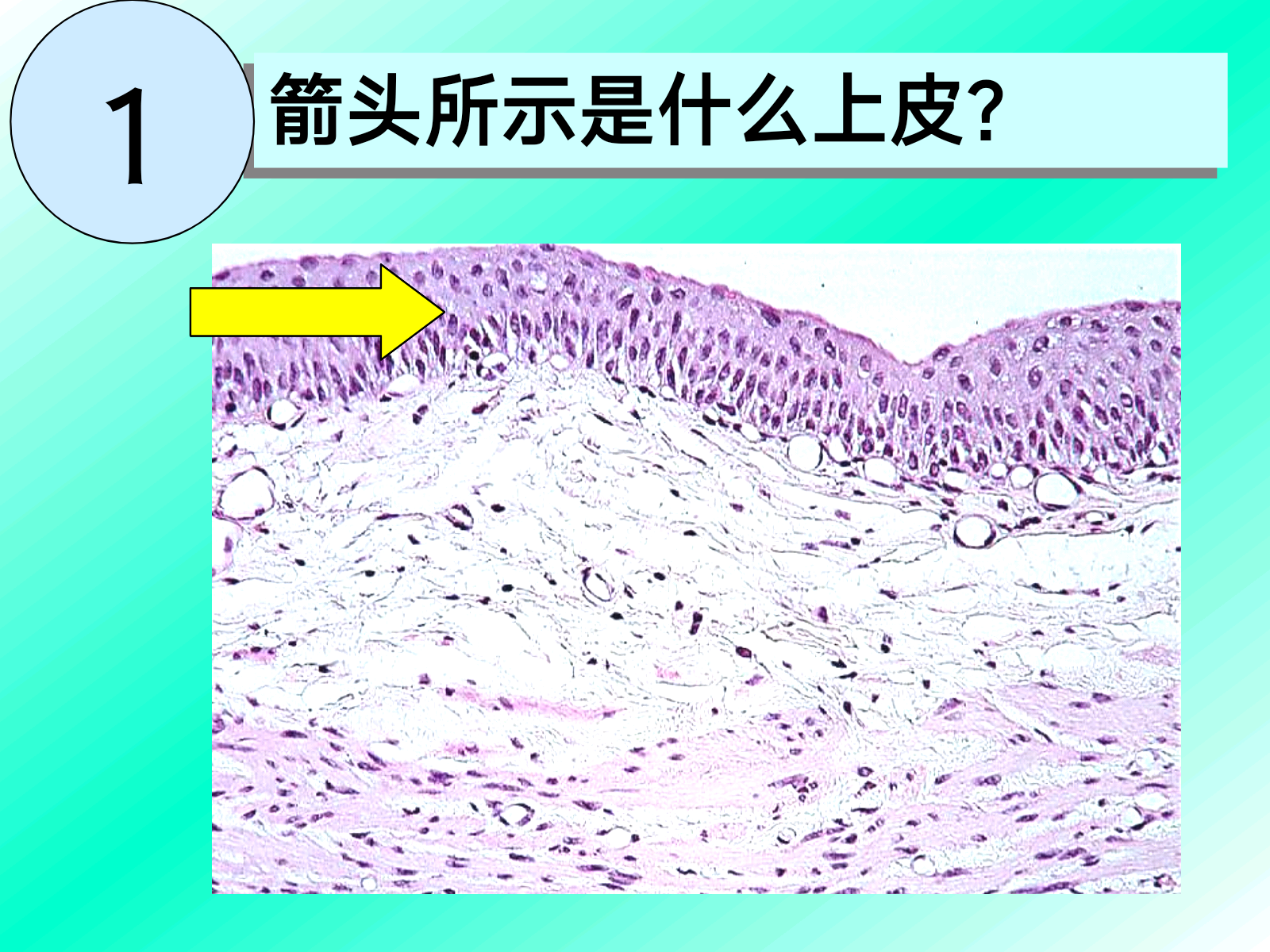 f327a679608e5be75515e339c9264473.png