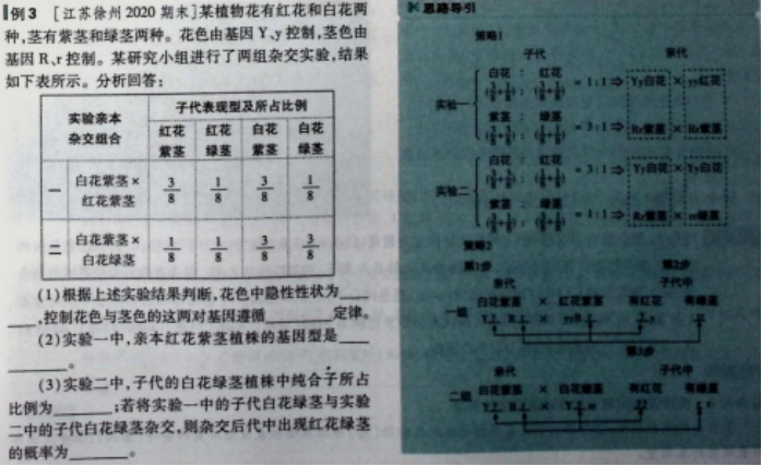 f80fb3828de0b54527a8428828fff5d1.png
