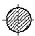 image31.jpeg